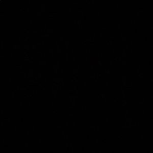 Meet your Posher, Amaris